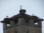 Stork nests are protected and cannot be removed