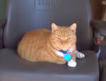 photo thumbnail