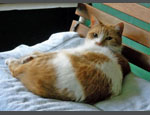 photo thumbnail