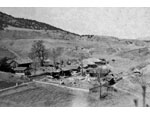 photo thumbnail