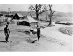 photo thumbnail