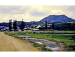 photo thumbnail