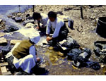photo thumbnail