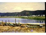 photo thumbnail