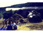 photo thumbnail