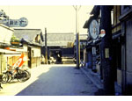 photo thumbnail