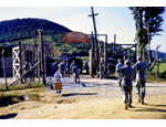 photo thumbnail