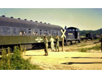 photo thumbnail