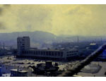 photo thumbnail