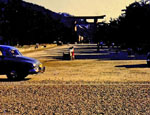 photo thumbnail