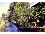 photo thumbnail
