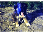 photo thumbnail