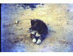 photo thumbnail