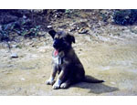 photo thumbnail