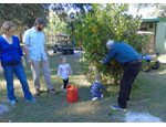 photo thumbnail