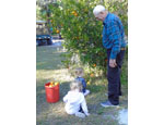 photo thumbnail