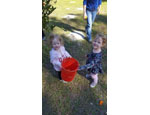 photo thumbnail