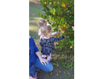 photo thumbnail