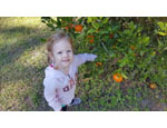 photo thumbnail