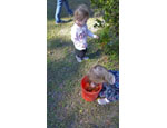 photo thumbnail