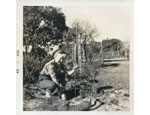 photo thumbnail