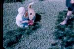 photo thumbnail
