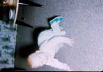 photo thumbnail
