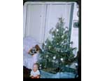 photo thumbnail