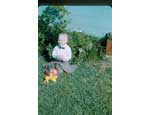 photo thumbnail