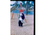 photo thumbnail
