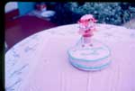 photo thumbnail