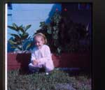 photo thumbnail
