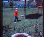 photo thumbnail