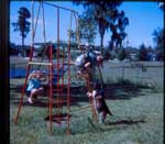 photo thumbnail